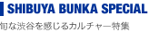 SHIBUYA BUNKA SPECIAL �ܤʽ�ë�򴶤��륫����㡼�ý�