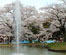 Yoyogi Park  space of rest to be a "starting point" of a new movement