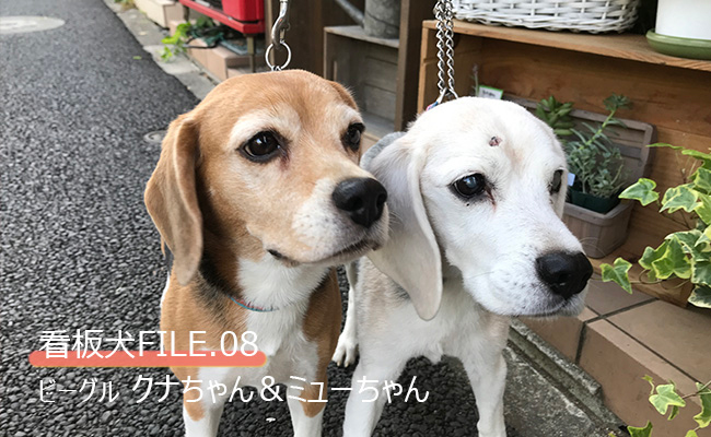 代々木公園のお散歩帰りに寄りたい カフェレストラン 花カフェ Dance 渋谷文化プロジェクト